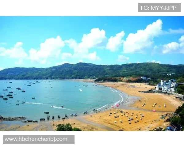 武汉篮球队的蜕变之路：从默默无闻到挑战赛的强者之路