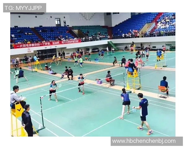 西安羽毛球队运营揭秘：深度解析背后的管理与发展策略